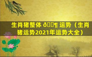 生肖猪整体 🐶 运势（生肖猪运势2021年运势大全）
